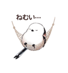 それいけシマエナガ（個別スタンプ：22）