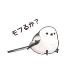 それいけシマエナガ（個別スタンプ：31）