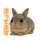 キモブサカワ10(ネザーランド・ドワーフ)（個別スタンプ：7）