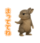 キモブサカワ10(ネザーランド・ドワーフ)（個別スタンプ：12）