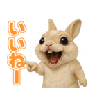 キモブサカワ10(ネザーランド・ドワーフ)（個別スタンプ：14）