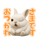 キモブサカワ10(ネザーランド・ドワーフ)（個別スタンプ：18）