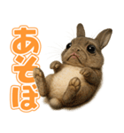 キモブサカワ10(ネザーランド・ドワーフ)（個別スタンプ：20）