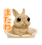 キモブサカワ10(ネザーランド・ドワーフ)（個別スタンプ：25）