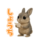 キモブサカワ10(ネザーランド・ドワーフ)（個別スタンプ：31）