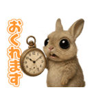 キモブサカワ10(ネザーランド・ドワーフ)（個別スタンプ：34）