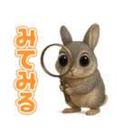 キモブサカワ10(ネザーランド・ドワーフ)（個別スタンプ：36）