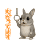 キモブサカワ10(ネザーランド・ドワーフ)（個別スタンプ：37）
