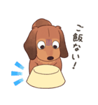 ダックス大好き！家族の連絡専用◆レッド（個別スタンプ：5）