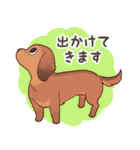 ダックス大好き！家族の連絡専用◆レッド（個別スタンプ：11）