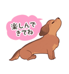 ダックス大好き！家族の連絡専用◆レッド（個別スタンプ：16）