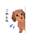 ダックス大好き！家族の連絡専用◆レッド（個別スタンプ：18）