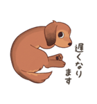 ダックス大好き！家族の連絡専用◆レッド（個別スタンプ：26）