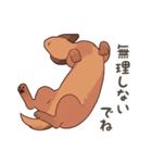 ダックス大好き！家族の連絡専用◆レッド（個別スタンプ：30）