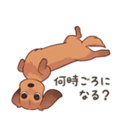 ダックス大好き！家族の連絡専用◆レッド（個別スタンプ：31）