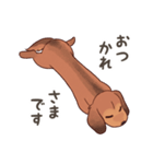 ダックス大好き！家族の連絡専用◆レッド（個別スタンプ：36）