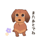 ダックス大好き！家族の連絡専用◆レッド（個別スタンプ：39）
