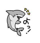 仲良しサメちゃんず（個別スタンプ：1）