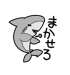 仲良しサメちゃんず（個別スタンプ：5）