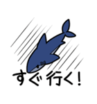 仲良しサメちゃんず（個別スタンプ：20）