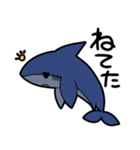 仲良しサメちゃんず（個別スタンプ：22）