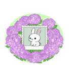ありふれたウサギと花（個別スタンプ：39）