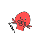 いかたこ兄妹とぷくちゃん（個別スタンプ：14）