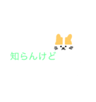 関西弁（猫スタンプ）（個別スタンプ：1）
