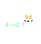 関西弁（猫スタンプ）（個別スタンプ：3）