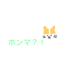 関西弁（猫スタンプ）（個別スタンプ：6）