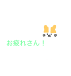 関西弁（猫スタンプ）（個別スタンプ：10）