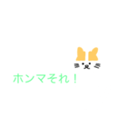 関西弁（猫スタンプ）（個別スタンプ：13）