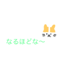 関西弁（猫スタンプ）（個別スタンプ：15）