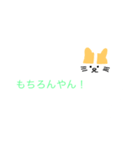 関西弁（猫スタンプ）（個別スタンプ：19）