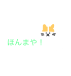 関西弁（猫スタンプ）（個別スタンプ：20）
