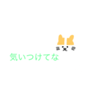関西弁（猫スタンプ）（個別スタンプ：25）