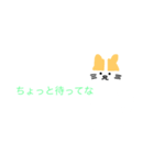 関西弁（猫スタンプ）（個別スタンプ：32）
