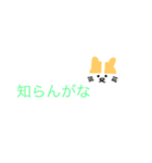 関西弁（猫スタンプ）（個別スタンプ：33）