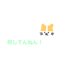 関西弁（猫スタンプ）（個別スタンプ：34）