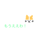 関西弁（猫スタンプ）（個別スタンプ：37）