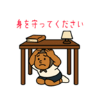 としあきくんの防災スタンバイ（個別スタンプ：11）