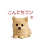 子犬verポメラニアン（個別スタンプ：2）