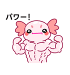 ウーパールーパー「ルパピン」日本語（個別スタンプ：6）