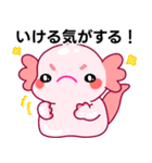 ウーパールーパー「ルパピン」日本語（個別スタンプ：7）
