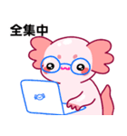 ウーパールーパー「ルパピン」日本語（個別スタンプ：11）