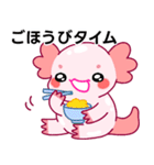 ウーパールーパー「ルパピン」日本語（個別スタンプ：13）