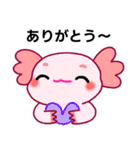 ウーパールーパー「ルパピン」日本語（個別スタンプ：25）