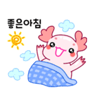 ウーパールーパー「ルパピン」 韓国語（個別スタンプ：1）