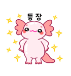 ウーパールーパー「ルパピン」 韓国語（個別スタンプ：3）