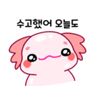 ウーパールーパー「ルパピン」 韓国語（個別スタンプ：4）